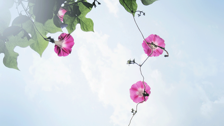 1588644825432565.png 微信圖片_20200505101000.png